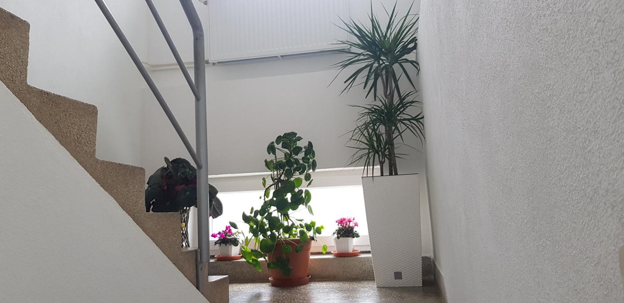 Ana Apartment Gracac  Exterior photo